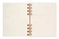 Een Moleskine 12M 2023/2024 Weekly/monthly Academic Planner Hardcover XL Crush Almond koop je bij Moleskine.nl