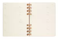 Een Moleskine 12M 2023/2024 Weekly/monthly Academic Planner Hardcover XL Crush Almond koop je bij Moleskine.nl