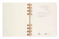 Een Moleskine 12M 2023/2024 Weekly/monthly Academic Planner Hardcover XL Crush Almond koop je bij Moleskine.nl