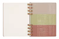 Een Moleskine 12M 2023/2024 Weekly/monthly Academic Planner Hardcover XL Crush Almond koop je bij Moleskine.nl