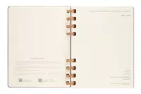 Een Moleskine 12M 2023/2024 Weekly/monthly Academic Planner Hardcover XL Crush Almond koop je bij Moleskine.nl