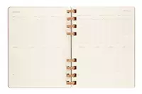 Een Moleskine 12M 2023/2024 Weekly/monthly Academic Planner Hardcover XL Crush Almond koop je bij Moleskine.nl