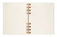 Een Moleskine 12M 2023/2024 Weekly/monthly Academic Planner Hardcover XL Crush Almond koop je bij Moleskine.nl