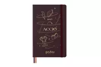 Een Moleskine 2025 12M Harry Potter 'Accio' Daily Hardcover Large (LE) koop je bij Moleskine.nl