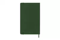 Een Moleskine 2025 12M Daily Hardcover Large Myrtle Green koop je bij Moleskine.nl