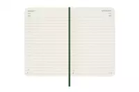 Een Moleskine 2025 12M Daily Softcover Pocket Myrtle Green koop je bij Moleskine.nl