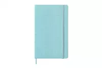 Een Moleskine x Anne Frank House Notebook Ruled Hardcover Large Mint Green koop je bij Moleskine.nl