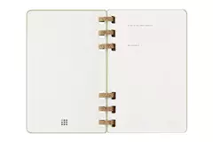 Een Moleskine 2024/2025 12M Academic Spiral Weekly/Monthly Hardcover Large Crush Kiwi koop je bij Moleskine.nl