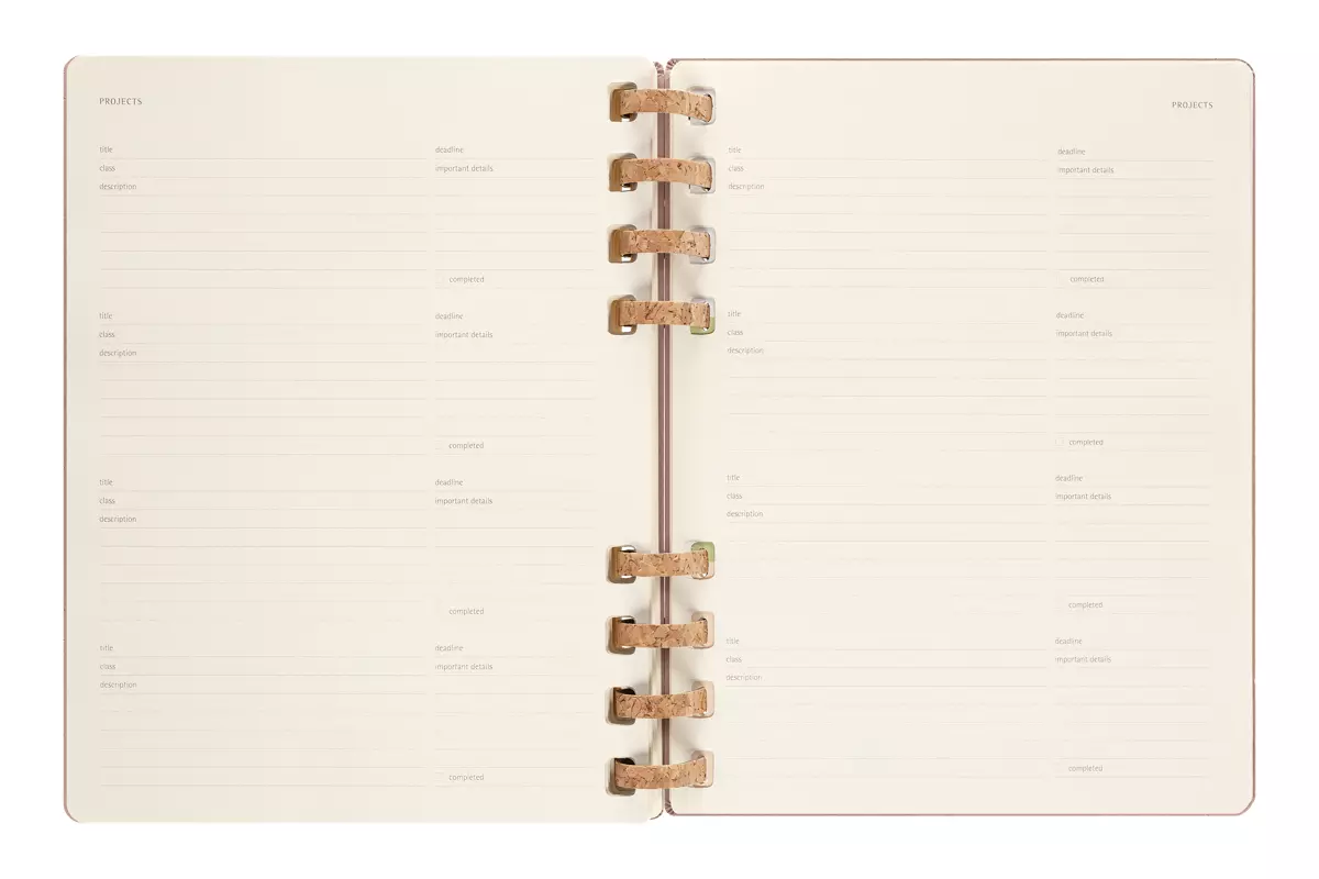 Een Moleskine 12M 2023/2024 Weekly/monthly Academic Planner Hardcover XL Crush Almond koop je bij Moleskine.nl