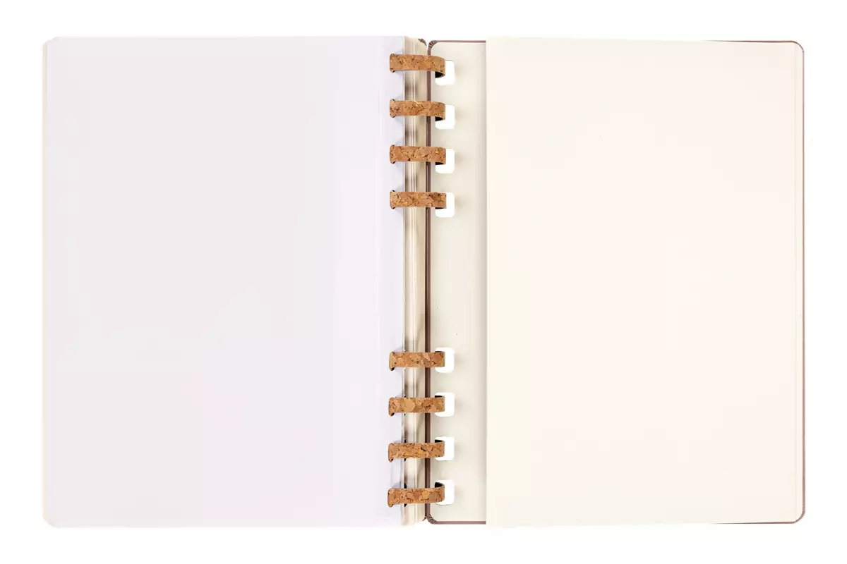 Een Moleskine 12M 2023/2024 Weekly/monthly Academic Planner Hardcover XL Crush Almond koop je bij Moleskine.nl