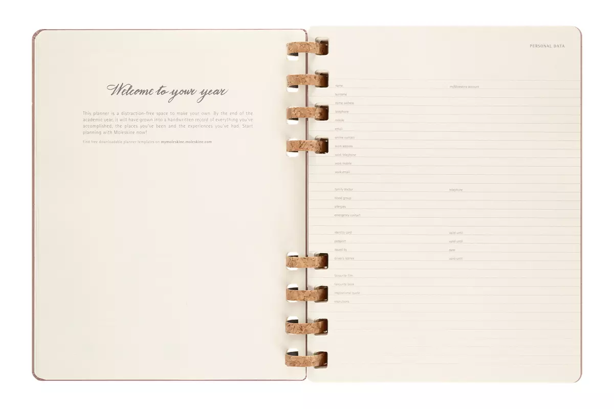 Een Moleskine 12M 2023/2024 Weekly/monthly Academic Planner Hardcover XL Crush Almond koop je bij Moleskine.nl