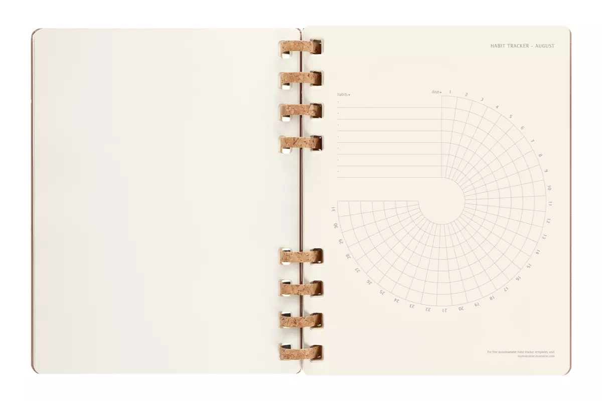 Een Moleskine 12M 2023/2024 Weekly/monthly Academic Planner Hardcover XL Crush Almond koop je bij Moleskine.nl