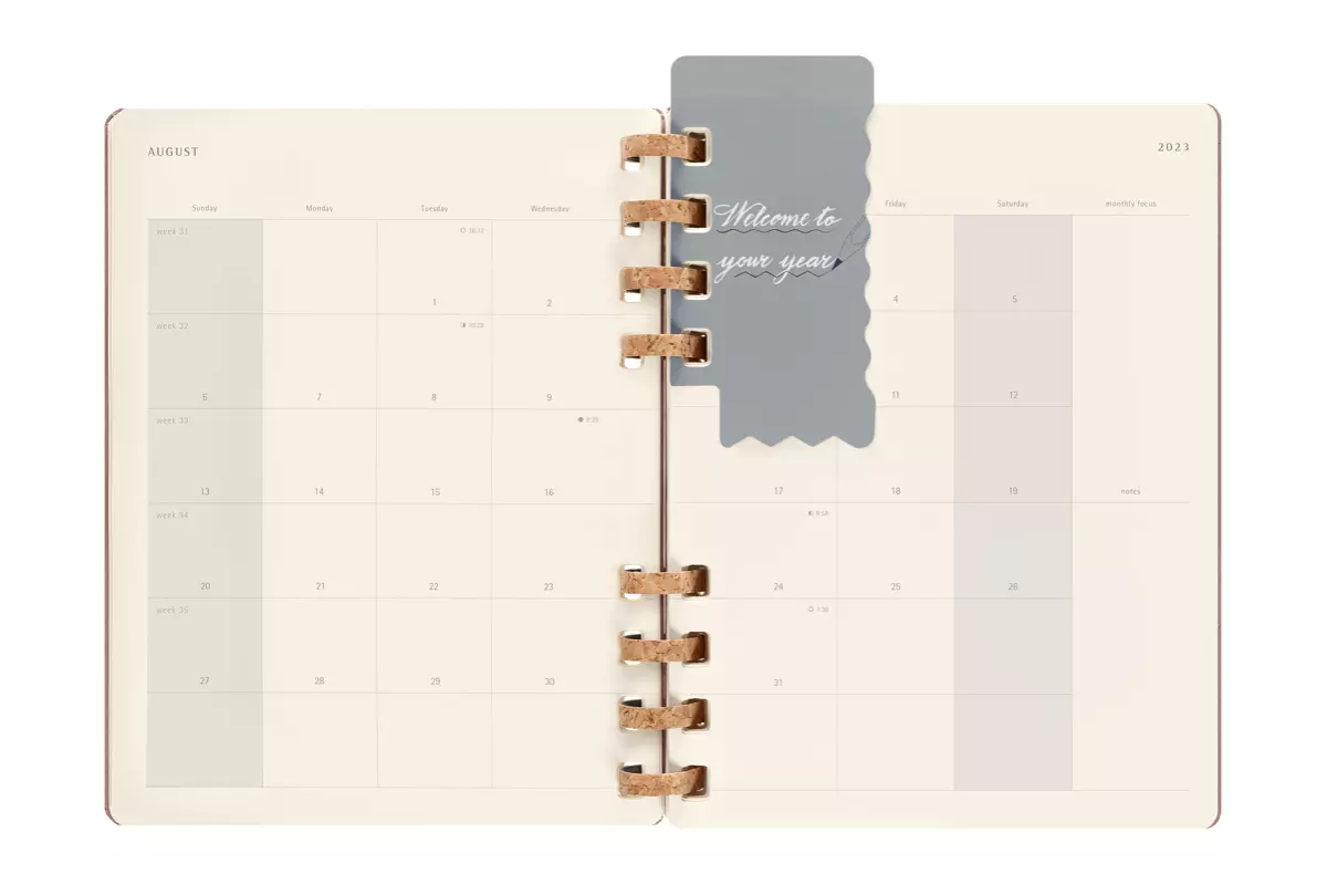 Een Moleskine 12M 2023/2024 Weekly/monthly Academic Planner Hardcover XL Crush Almond koop je bij Moleskine.nl