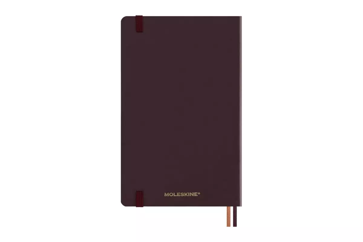 Een Moleskine 2025 12M Harry Potter 'Accio' Daily Hardcover Large (LE) koop je bij Moleskine.nl