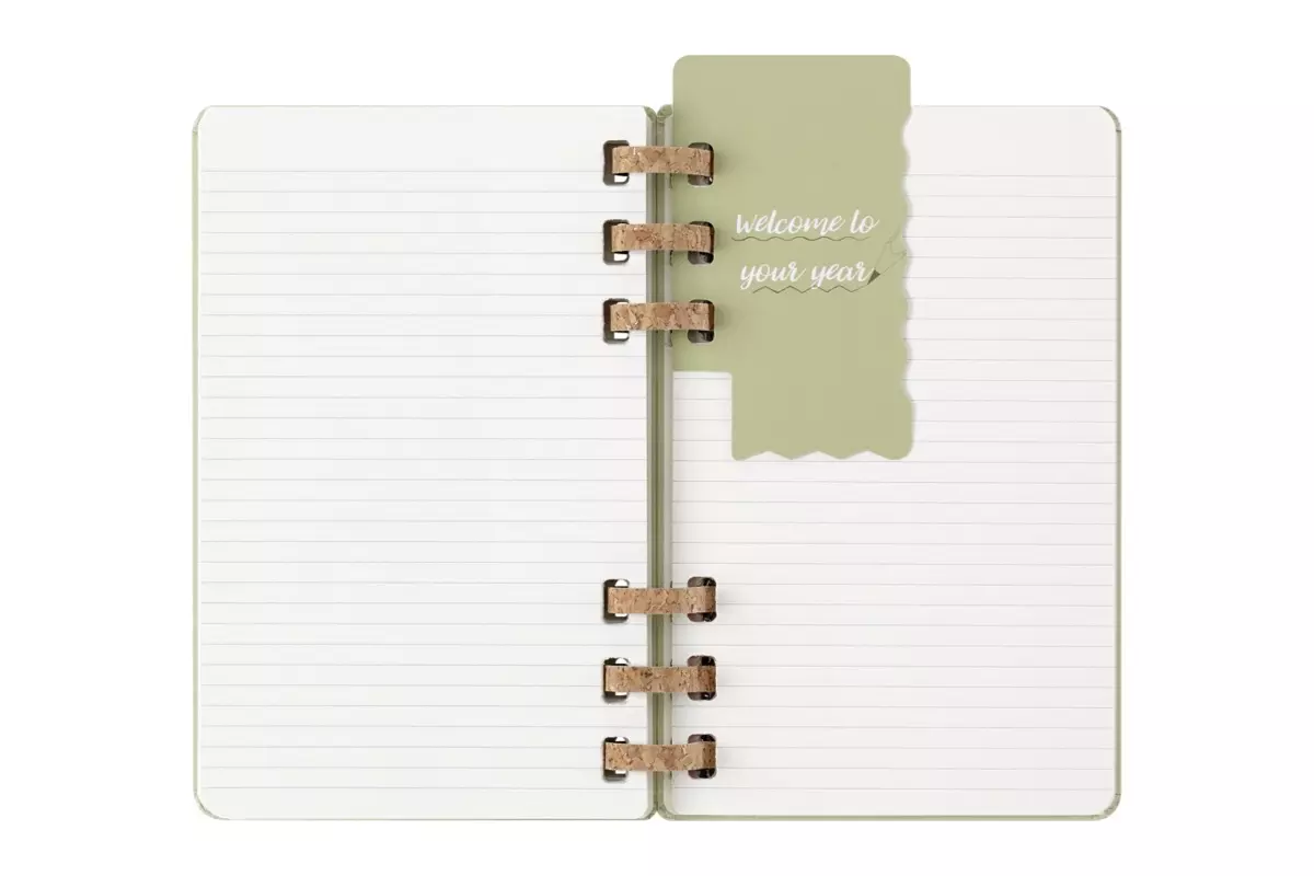 Een Moleskine 2024/2025 12M Academic Spiral Weekly/Monthly Hardcover Large Crush Kiwi koop je bij Moleskine.nl