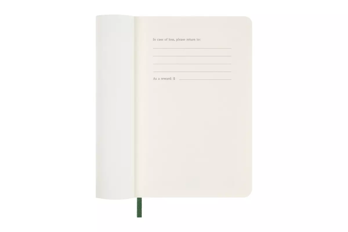 Een Moleskine 2025 12M Daily Softcover Pocket Myrtle Green koop je bij Moleskine.nl