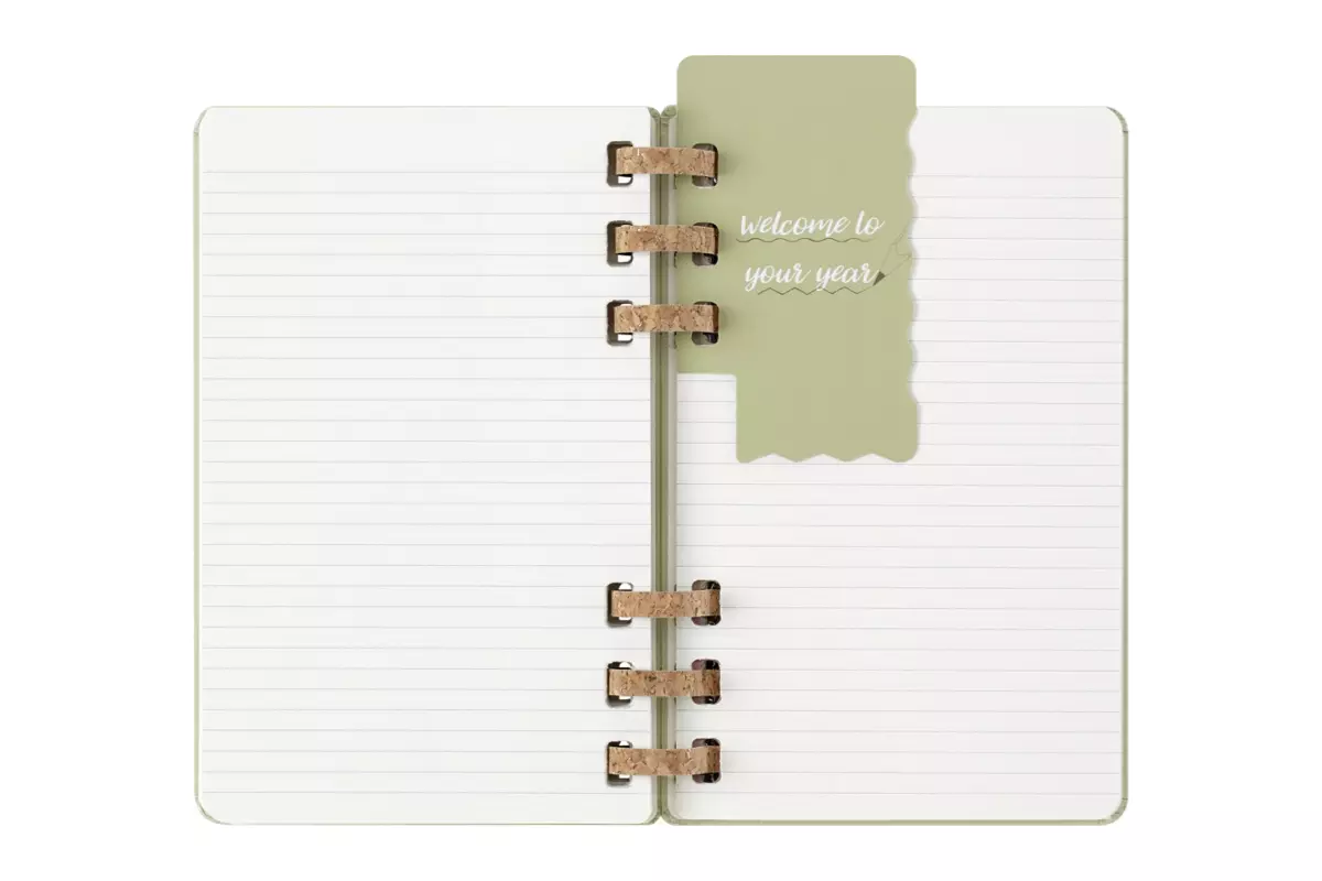 Een Moleskine 2025 12M Weekly/Monthly Life Spiral Planner Softcover Large Crush Kiwi koop je bij Moleskine.nl